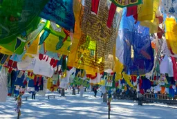 Зурхай на 1 марта: кому сегодня лучше отложить важные дела