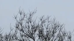 Житель Бурятии поплатился за пьяное сопротивление правоохранителям