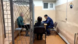 Организаторов похода к пику Мунку-Сардык обвинили в гибели красноярских туристов