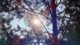 В Бурятии потеплеет до +3 градусов