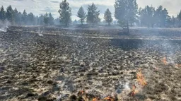 Погибшие при спуске с горы в Бурятии туристы прибыли из Красноярска