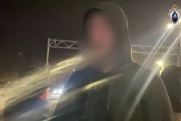 В Иркутске прошел митинг против усыпления бездомных животных