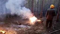 В Улан-Удэ водители более 200 раз нарушили правила платной парковки