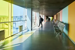 Алиментщика с долгами в 16 млн рублей сняли с рейса в Кольцово