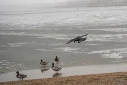 В Свердловской области за сутки произошло 23 пожара, спасли людей и нашли тело мужчины на водоёме