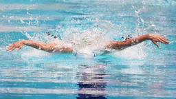 European Aquatics допустила российских спортсменов к юниорским и молодежным соревнованиям с флагом и гимном