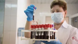 Число отравившихся в школе в Петербурге выросло до 37