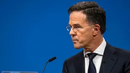 Рютте поддержал идею Макрона о диалоге с Россией