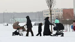 Принят закон о проживании не менее 5 лет в РФ для получения детского пособия