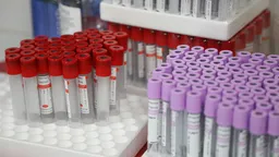 Закон о создании механизма контроля за обращением генетических данных принят Госдумой