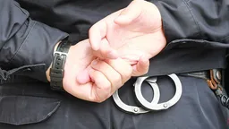 МВД зафиксировало 21 нападение на учеников и учителей в 15 регионах России в 2026 году