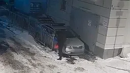 Двоих молодых людей задержали в Москве из-за поджога полицейских машин