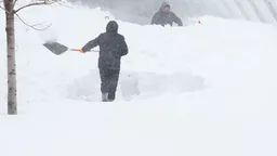 В Москве зафиксирована рекордная высота сугробов