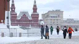 Суд приговорил к двум годам мужчину, облившего краской музей в Кремле