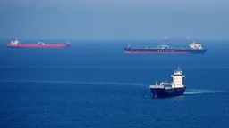 США разрешили Индии 30 дней покупать российскую нефть