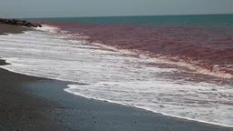 Президент Ирана потребовал репарации и гарантии для завершения войны