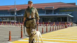 Сочи подвергался атаке беспилотников больше суток