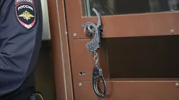 Китай выдал России обвиняемого в коррупционных преступлениях Орцуева