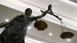 К срокам от 9 до 22 лет лишения свободы приговорили трех жителей Ивановской области по делу о поджоге вышки сотовой связи, одному из них нет 18