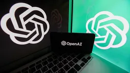 Финдиректор выразила сомнение в готовности OpenAI к IPO в 2026 году