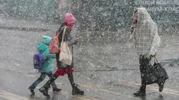 Тепло вернется в Москву на выходных