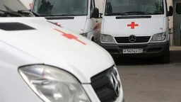 В Муроме количество случаев острой кишечной инфекции выросло до 677