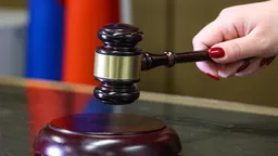 Сын Павла Астахова арестован по делу о мошенничестве в особо крупном размере