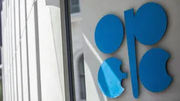 ОАЭ не предупреждали РФ о решении выйти из ОПЕК и ОПЕК+