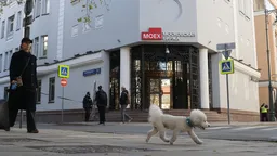 Мосбиржа с 13 мая будет рассчитывать индексы шести криптовалют