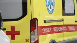 На МКАД Грузовик протаранил 14 автомобилей, пострадали семеро человек, в том числе двое детей