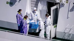 ВОЗ зарегистрировала 11 случаев заражения хантавирусом