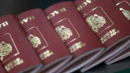 В России прекратили гражданство восьми иностранцам