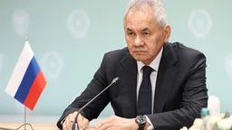 Шойгу предложил создать в БРИКС механизмы реагирования на ЧС