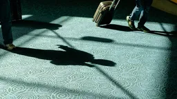 Замминистра юстиции предложил ввести в странах ОДКБ аналог законодательства об «иностранных агентах»