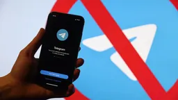 Telegram оштрафовали на 3,5 млн рублей за отказ удалять «ЛГБТ*-пропаганду»