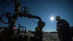 Таможня отчиталась о крушении сборов в бюджет на 20% за год