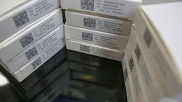 «Честный знак», Ozon и Wildberries усилят контроль за товарами на маркетплейсах