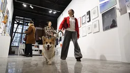 Депутаты предлагают разрешить полиции штрафовать граждан за нарушение правил содержания животных