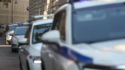 В Электростали юноша убил ножом неонациста, защищая девушку