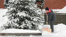 Лукашенко: женщине нужно чистить снег лопатой, чтобы поддерживать красоту