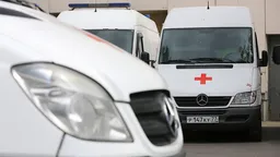 В крупном ДТП на трассе «Сибирь» в Красноярском крае погибло пять человек