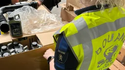 Власти Нидерландов задержали капитана контейнеровоза по подозрению в перевозке в Россию подсанкционных товаров