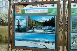 Экс-директора нацпарка в Бурятии и его подельников осудят за многомиллионную аферу