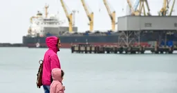 СК России заявил об атаке украинских беспилотников на танкер под флагом Либерии