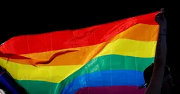 Лукашенко подписал закон об административной ответственности за "пропаганду ЛГБТ", смену пола и чайлдфри