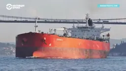 Разлив нефти на Черном море: предположительно виноват танкер Sofia, который ходит под российским флагом