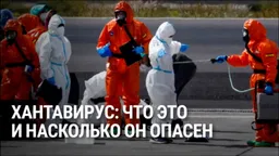 «Число заболевших увеличится». ВОЗ предупредила о новых случаях смертельного вируса с «прокаженного» круизного лайнера