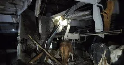 Три человека и животное погибли в Украине из-за российских ударов