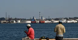 Песков назвал правильными действия кубинских пограничников с катером