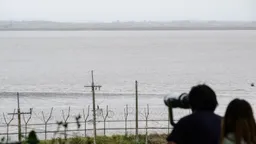 «Важные истории»: Северная Корея передала российской армии до 11 миллионов боеприпасов